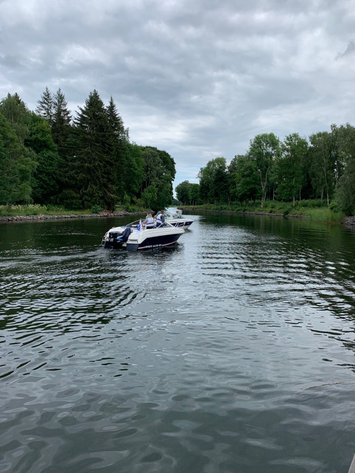 Ryds 620 Dc Blueline