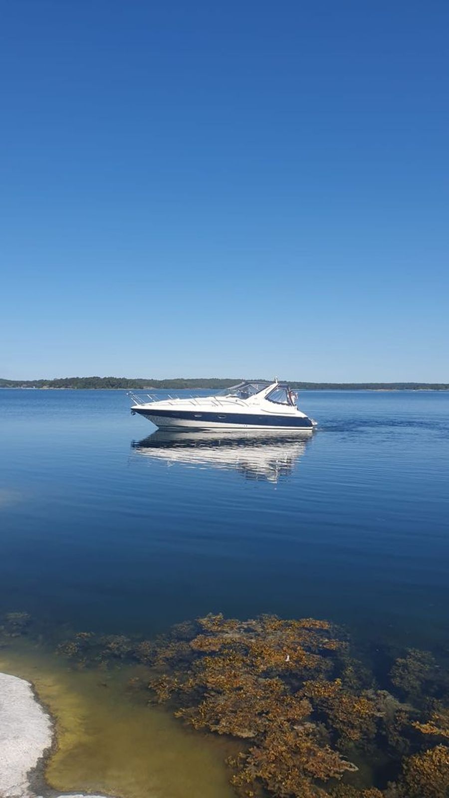Windy 35 Mistral