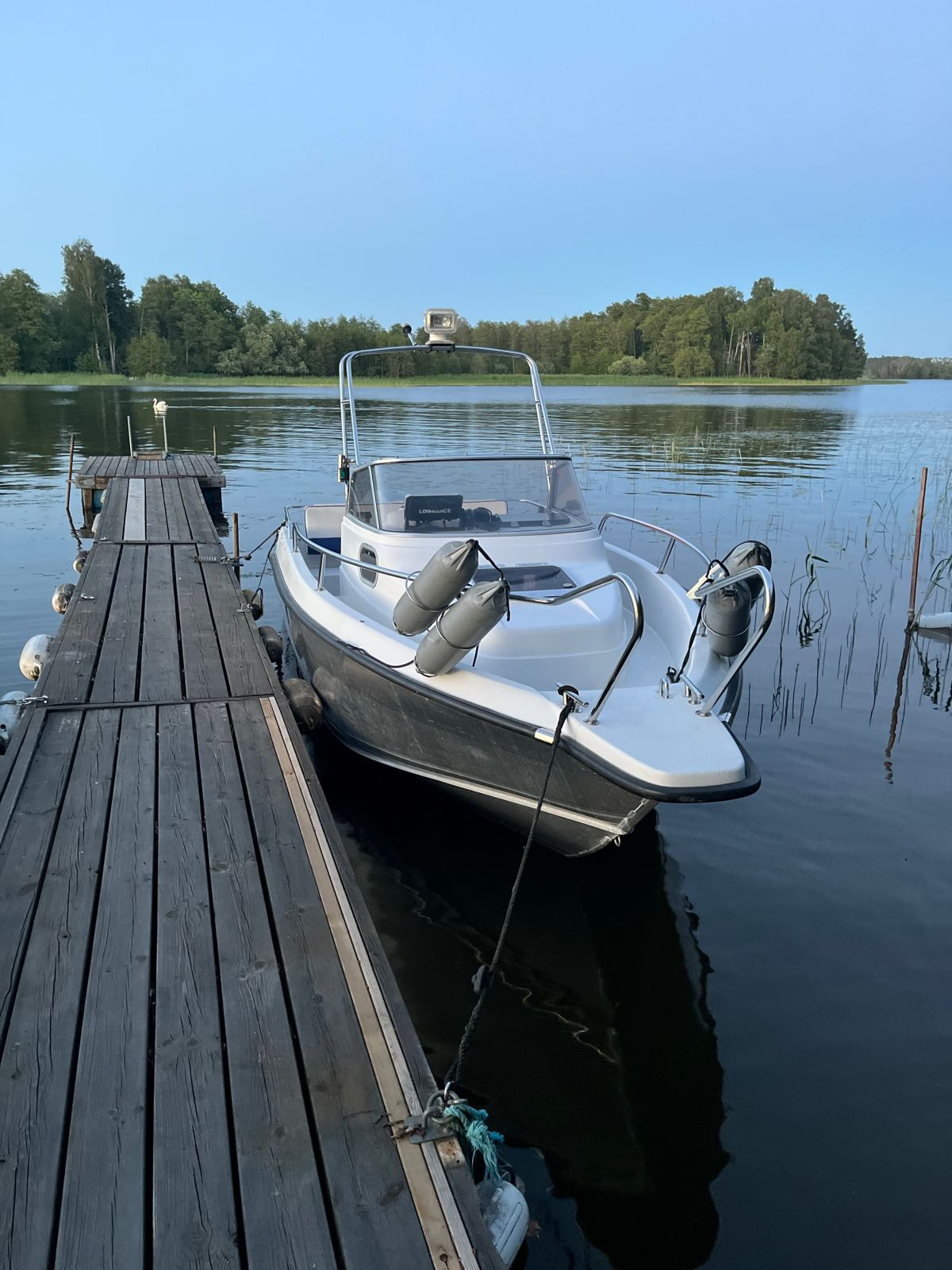 Silver Shark 605c