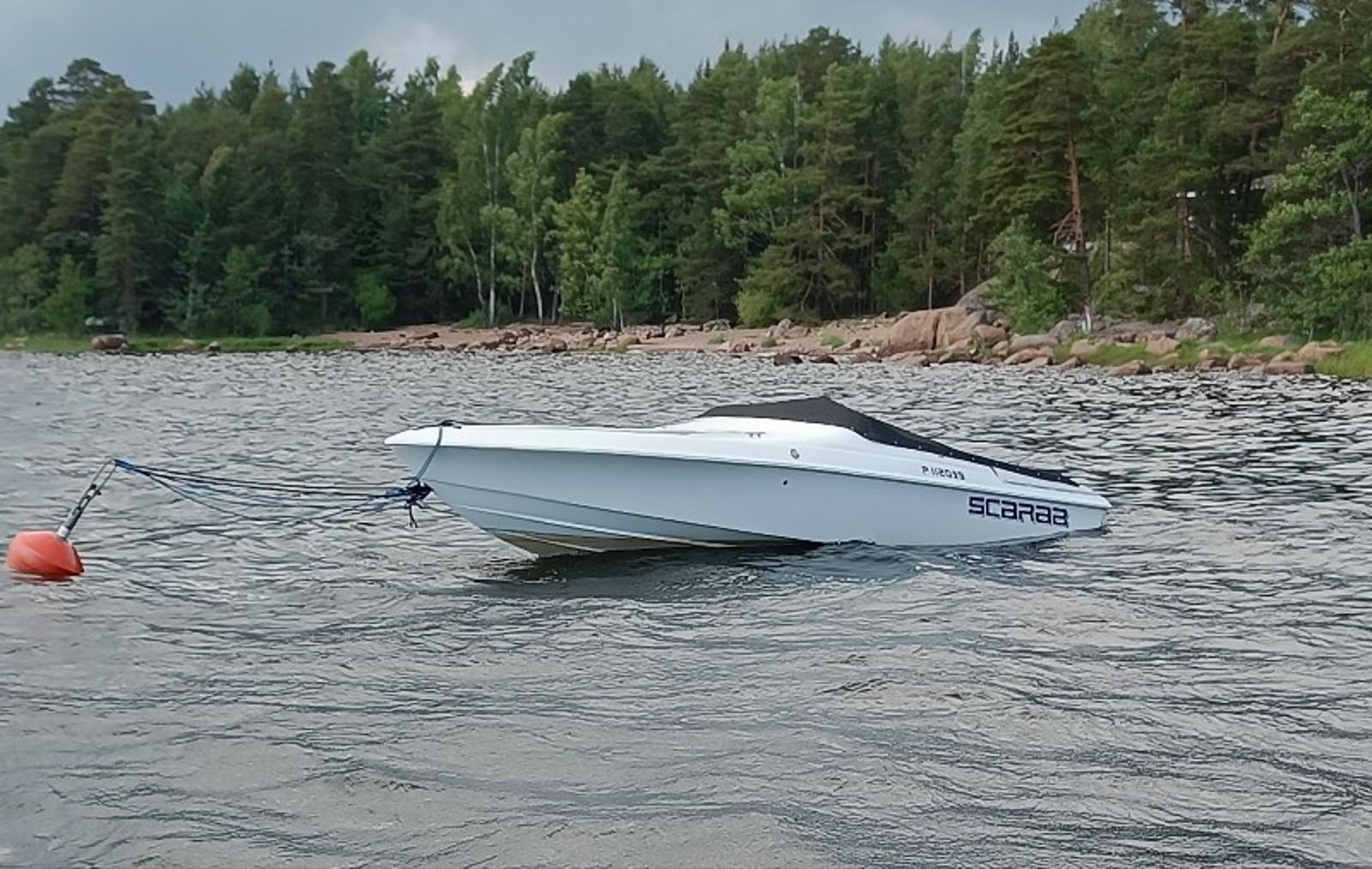 Wellcraft Scarab 22