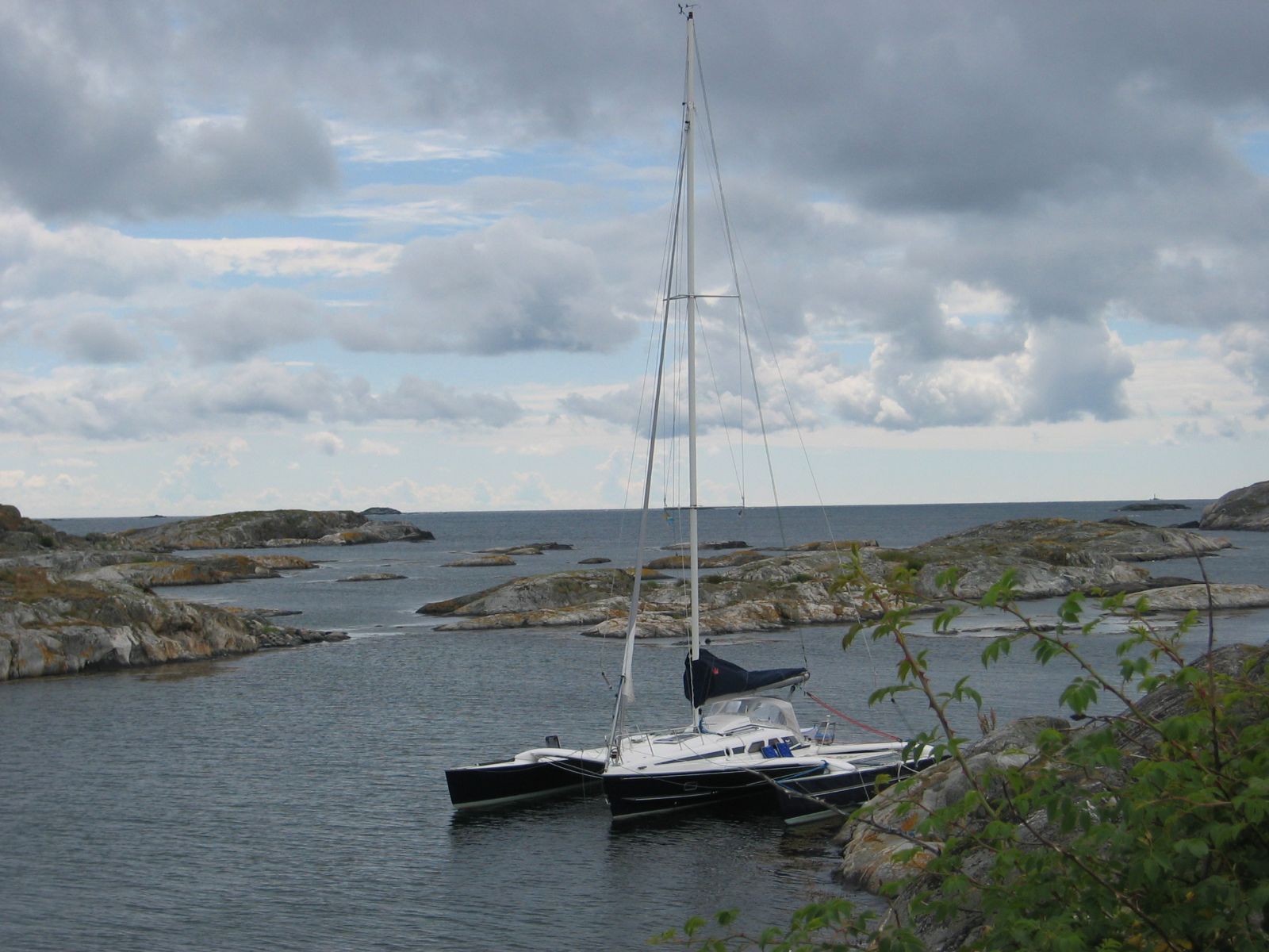 Dragonfly 920