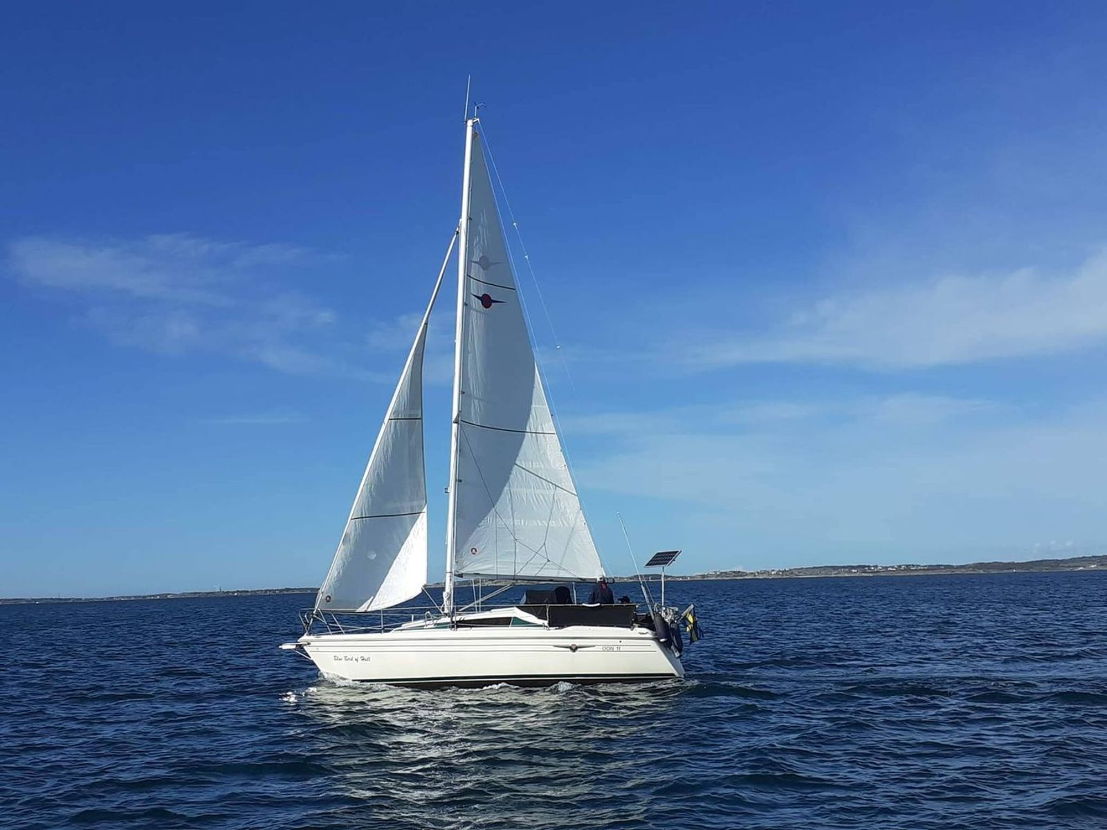Maxi FENIX