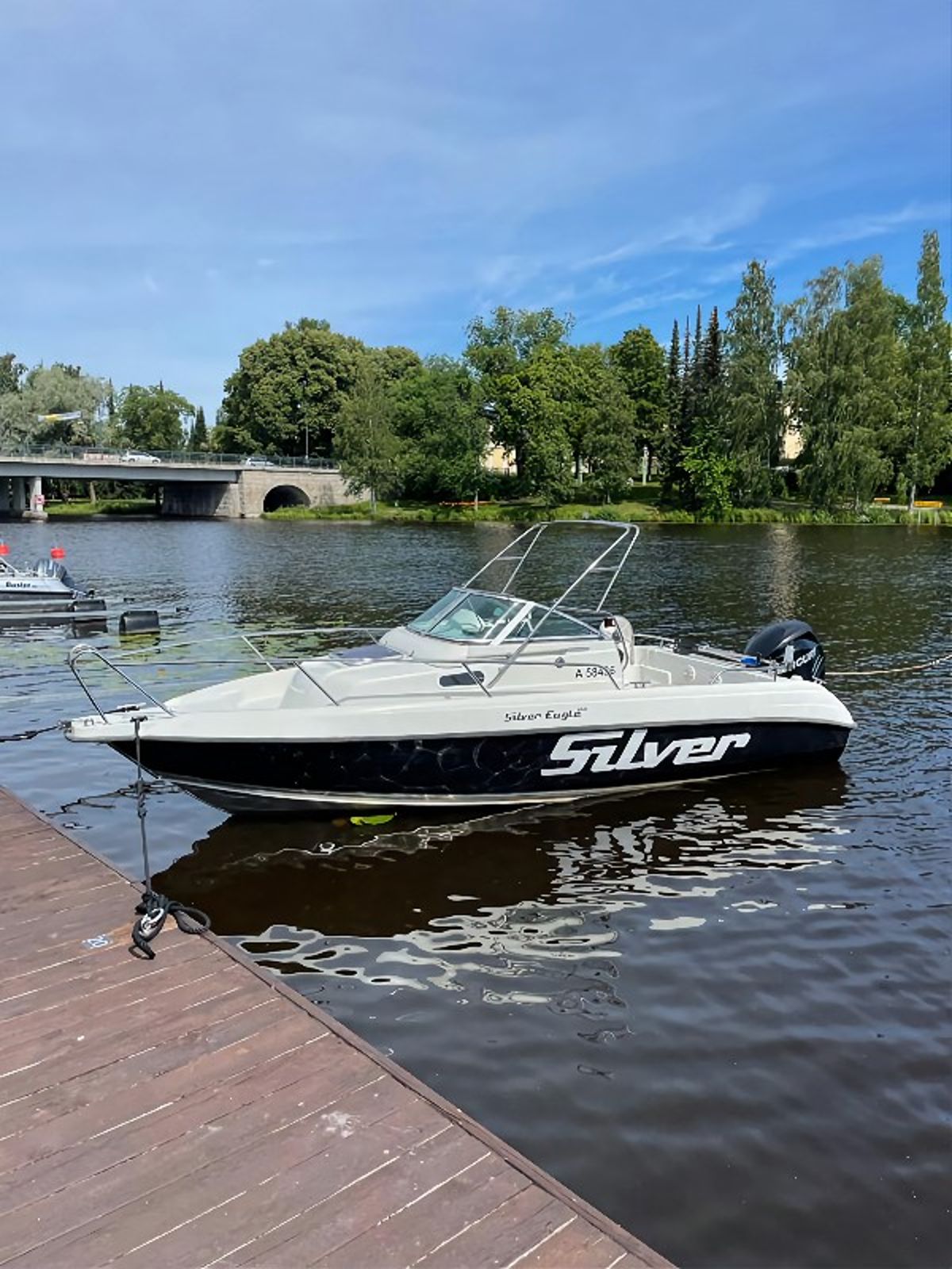 Silver 650 Eagle Wa