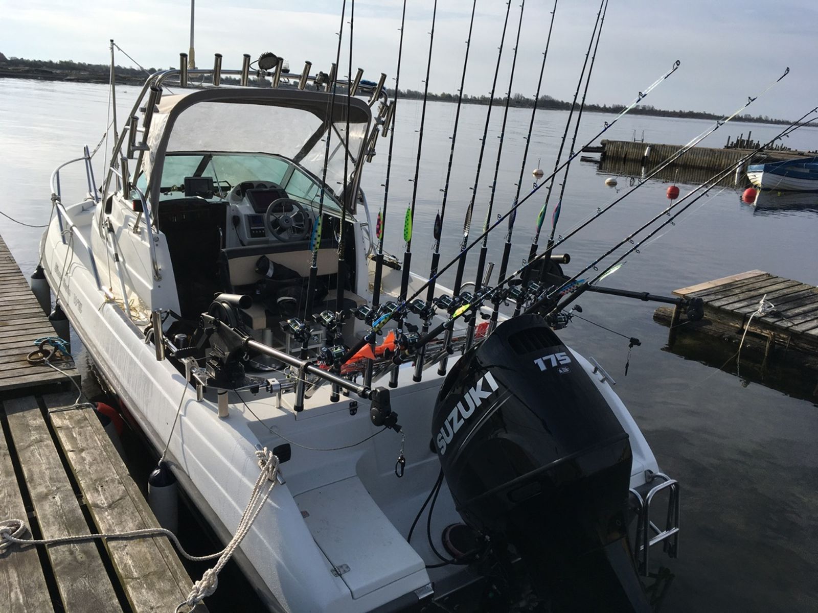 Silver 650 Eagle Wa