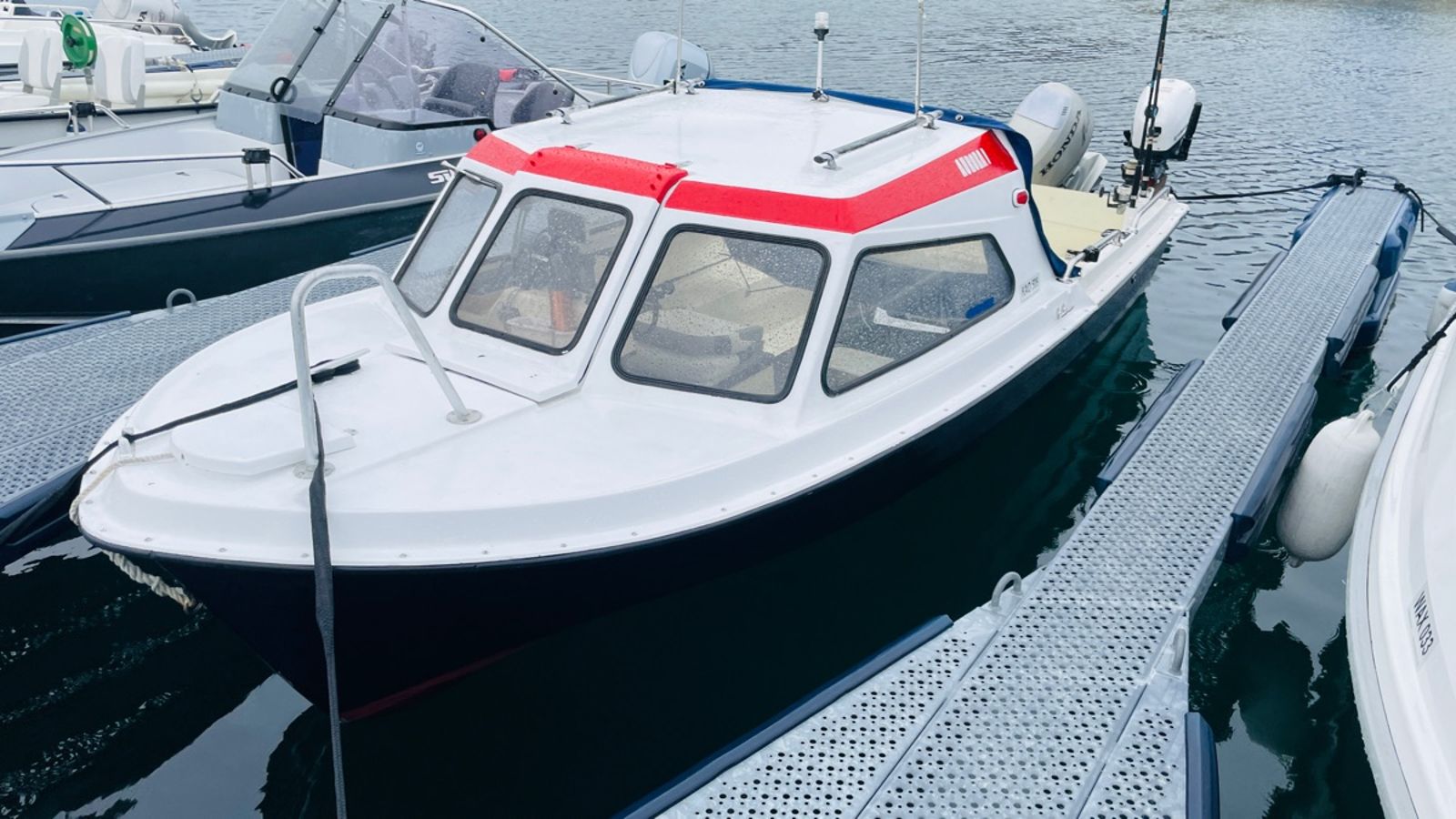 Rana 17 Fisk