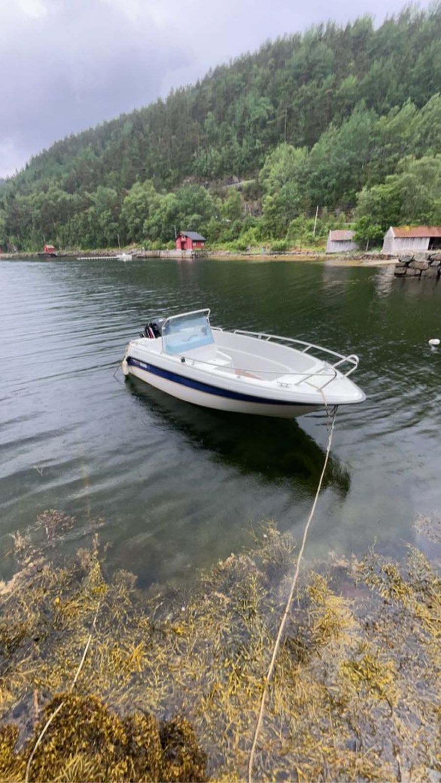 Askeladden 505 Freestyle