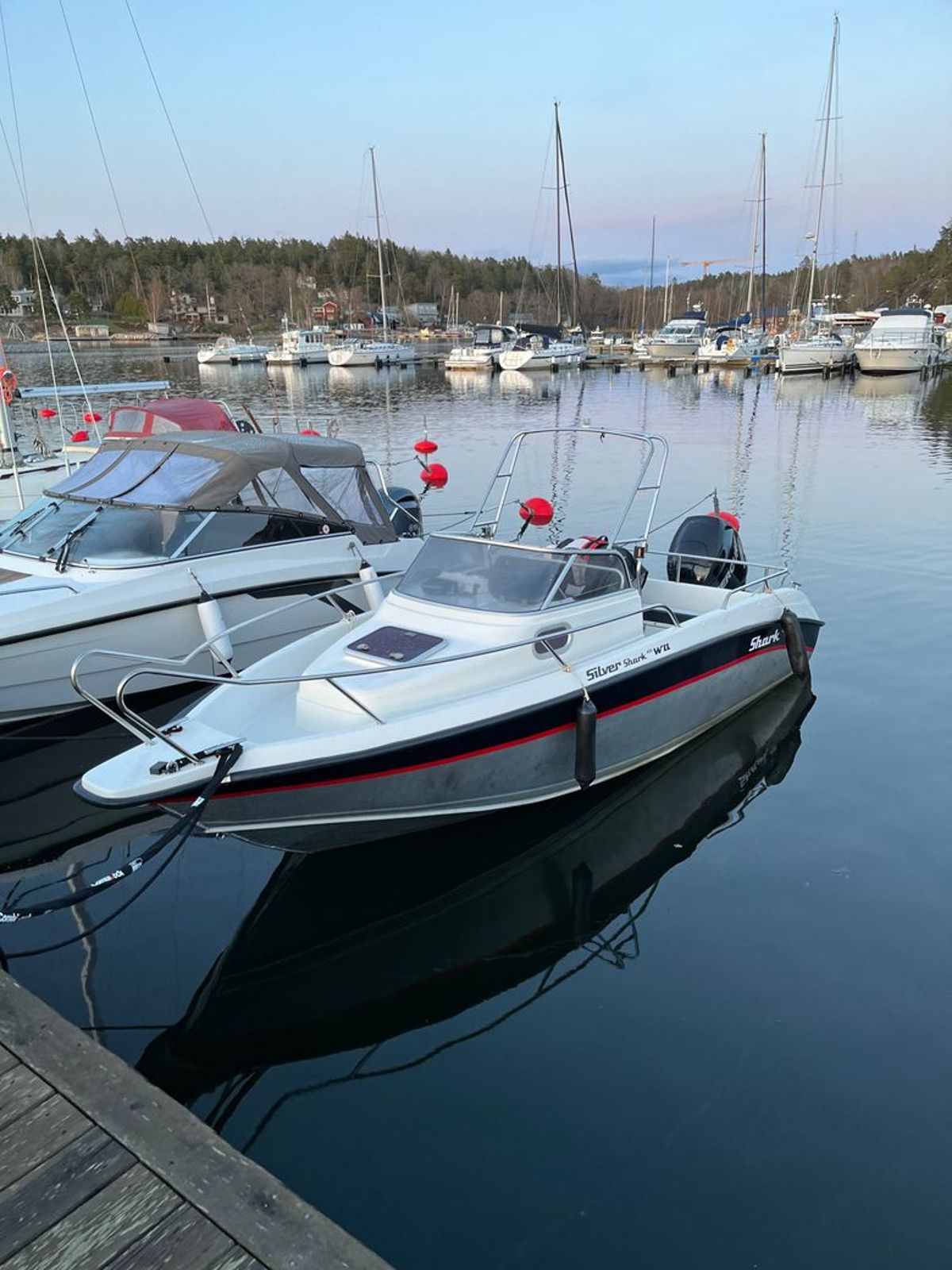 Silver Shark 605c