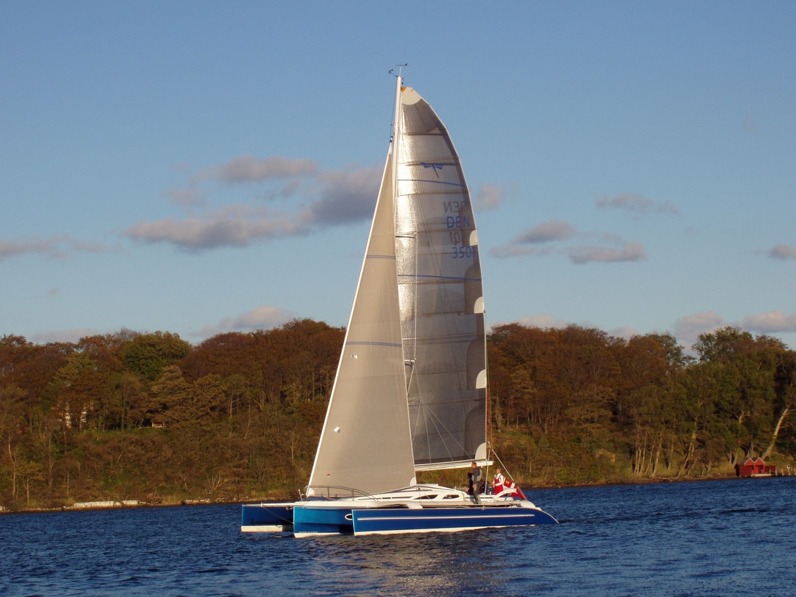 Dragonfly 35