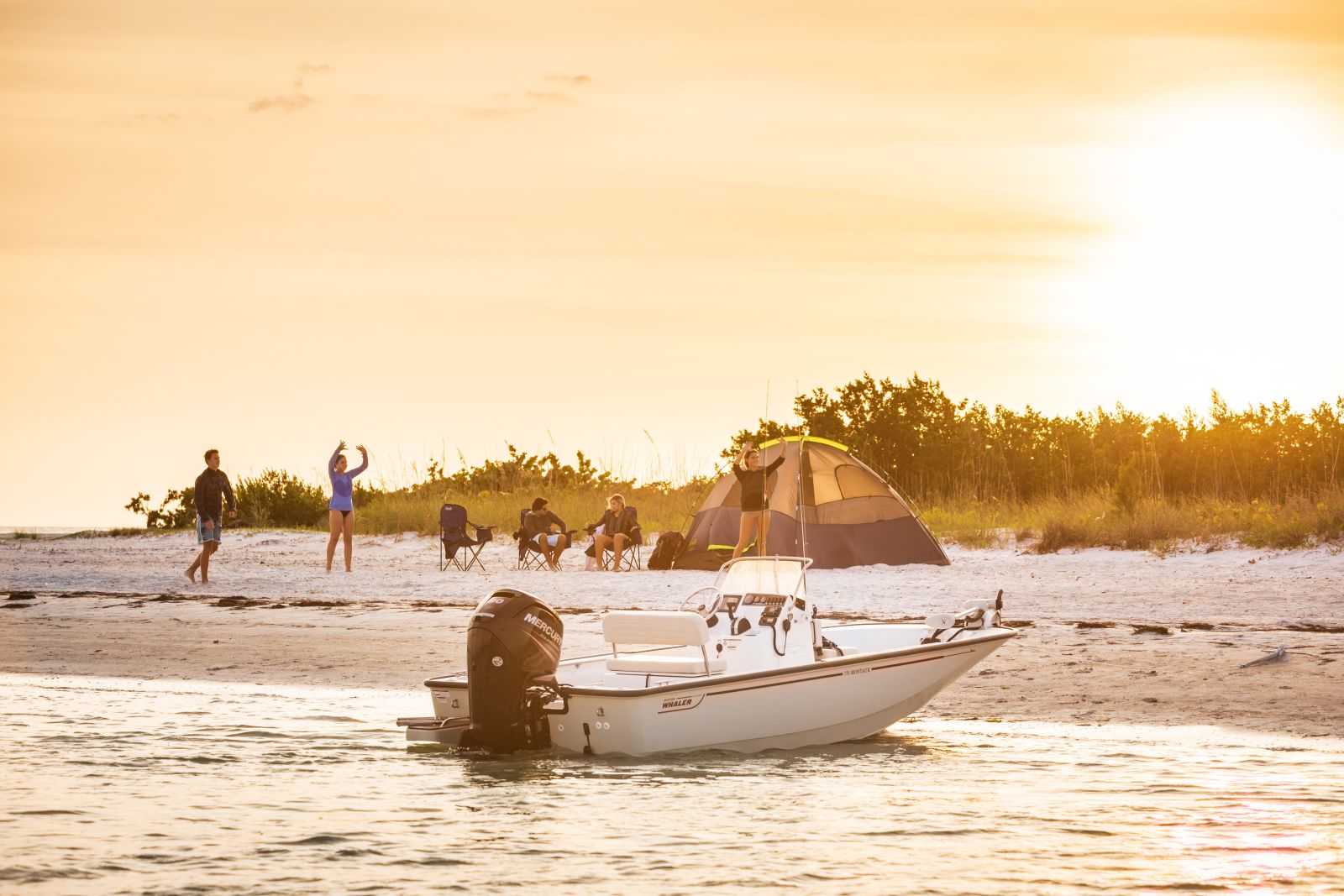 Boston Whaler