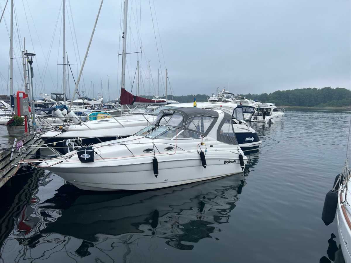 Wellcraft Martinique 2600