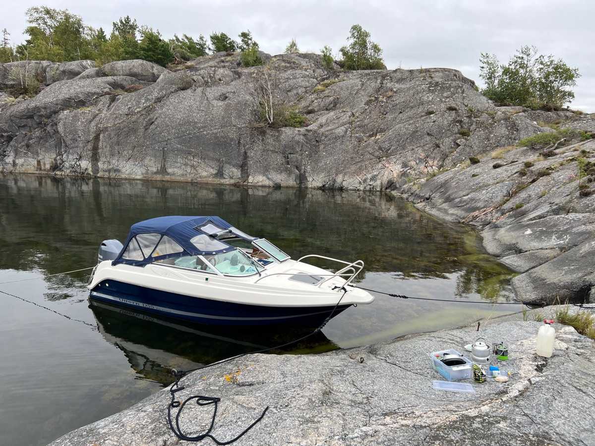 Uttern D55 Exclusive