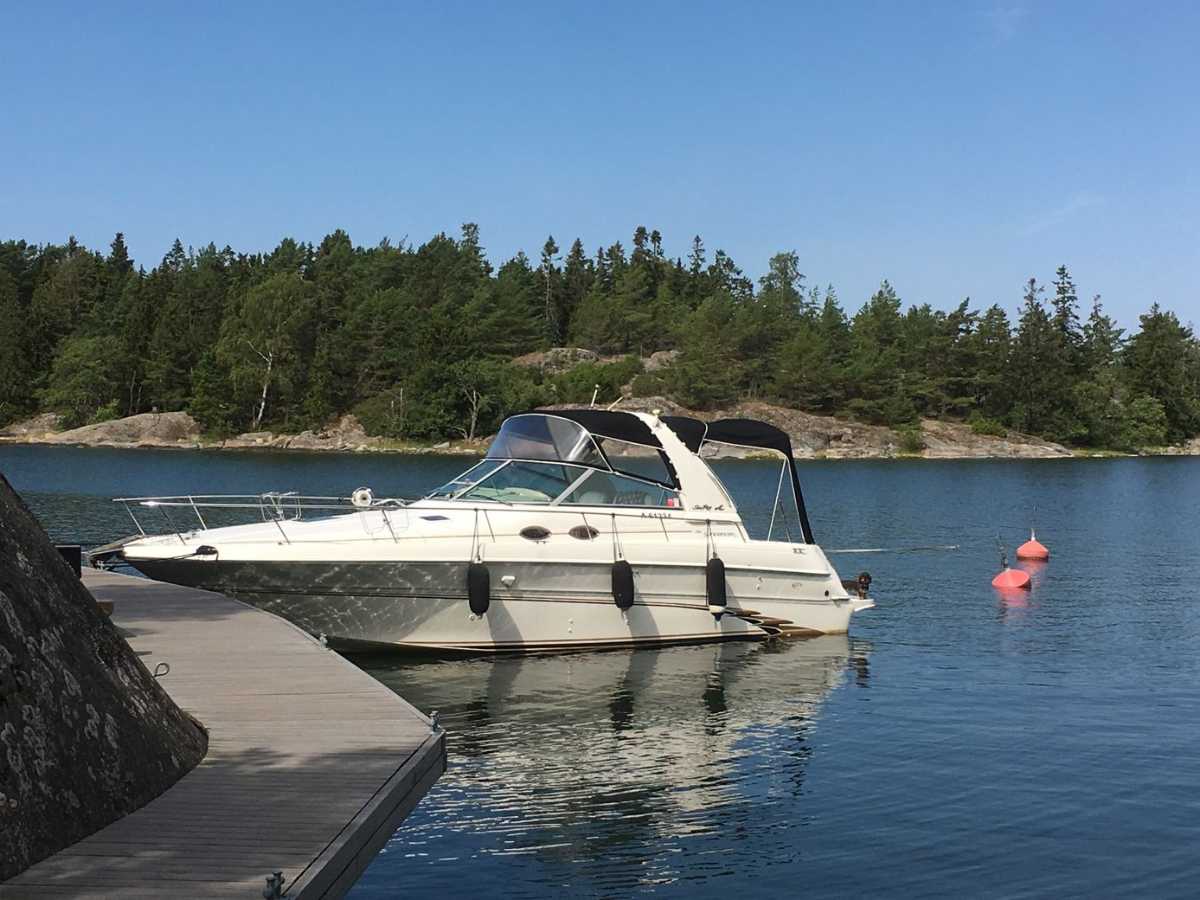 Sea Ray 310 Sundancer
