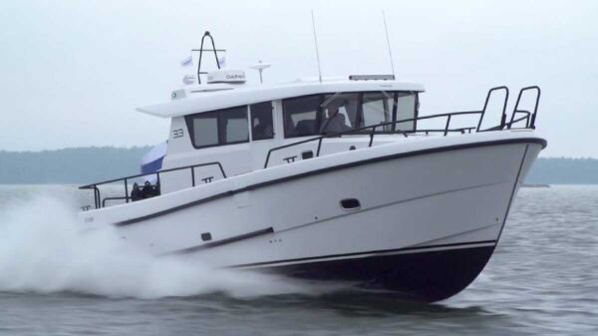 Sargo 33