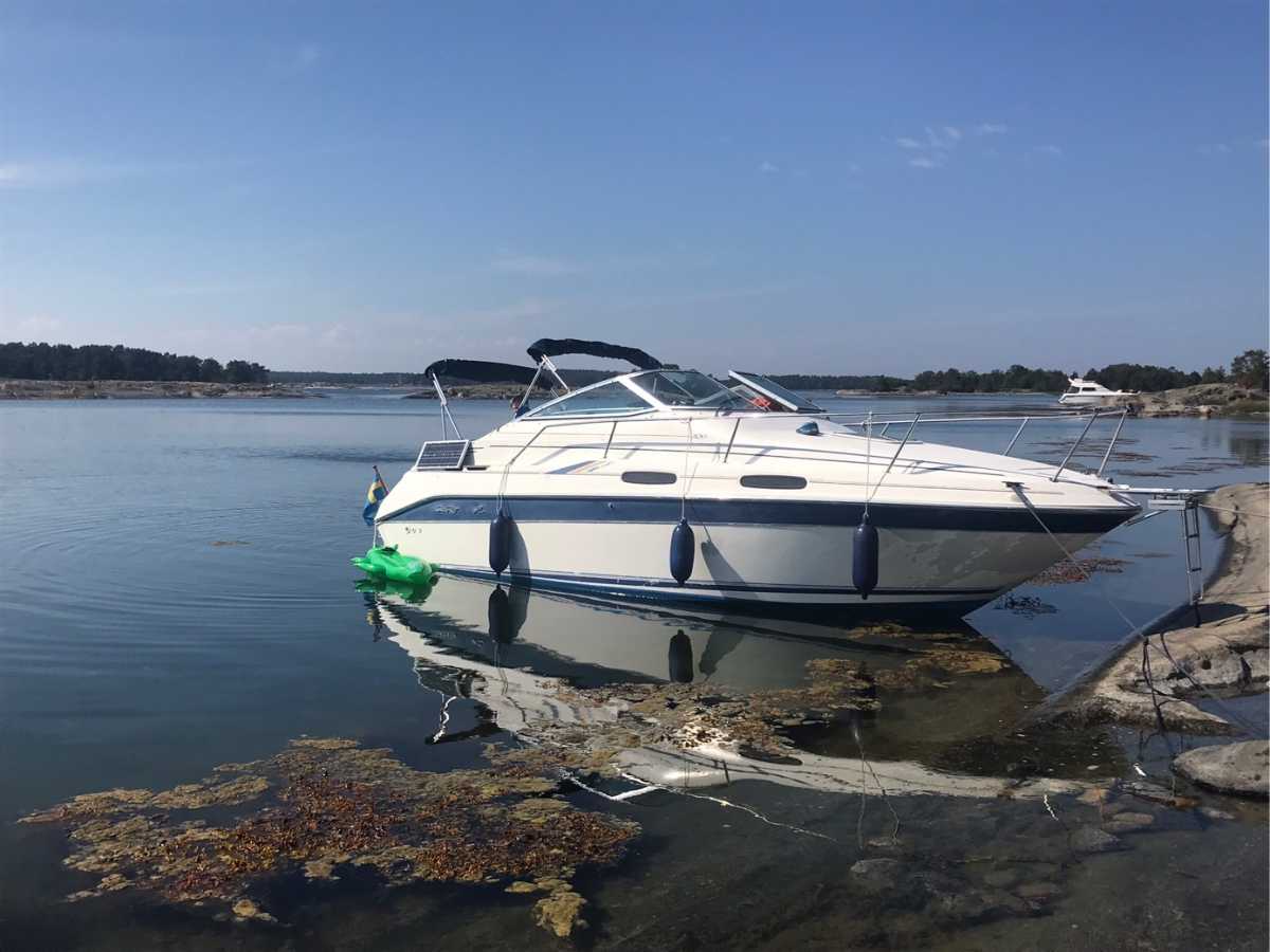 Sea Ray 230 Sundancer