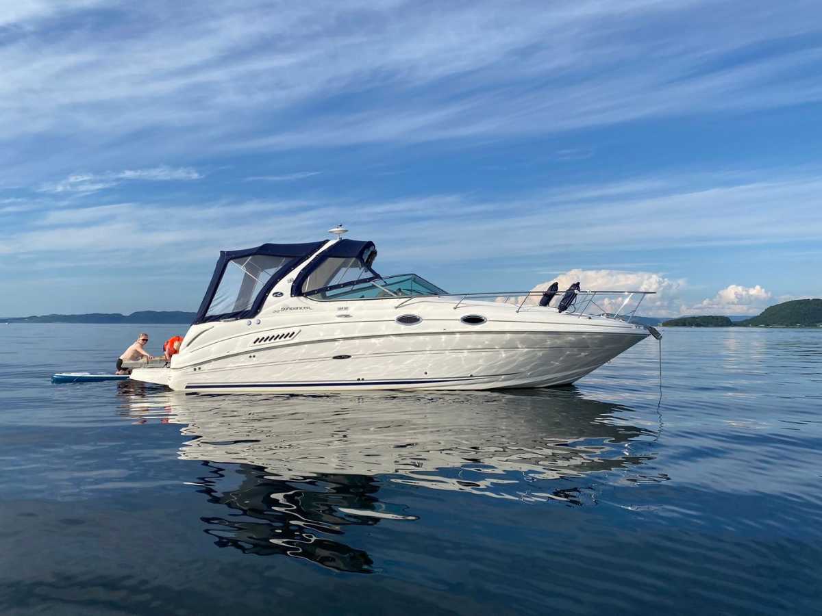 Sea Ray 315 Sundancer