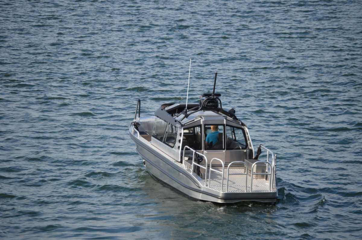 Arronet 25 Surprise I