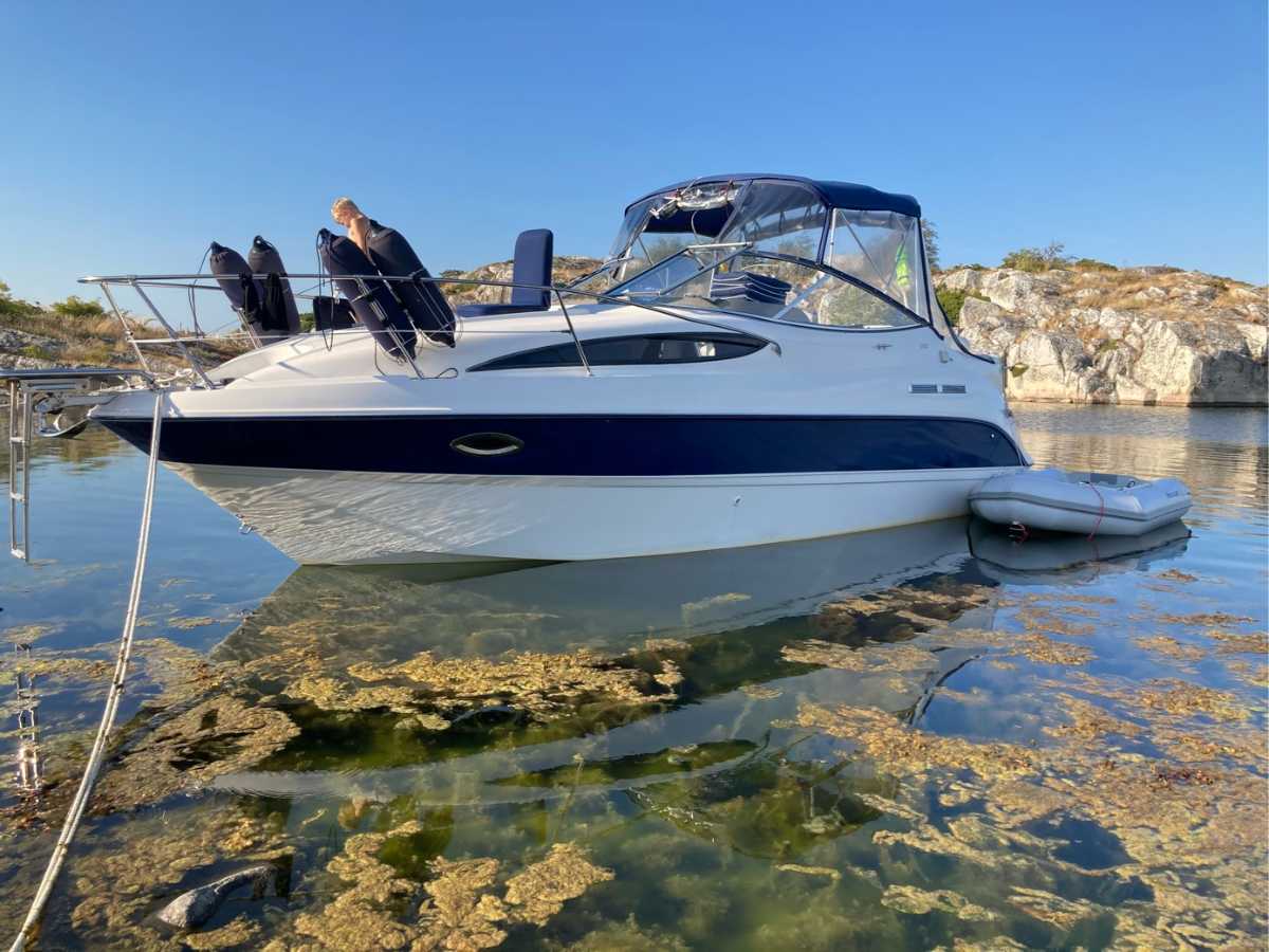 Bayliner 265CR