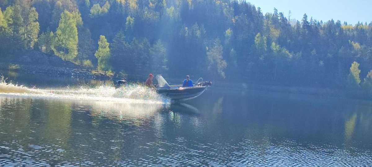 Linder Sportsman 445 Catch