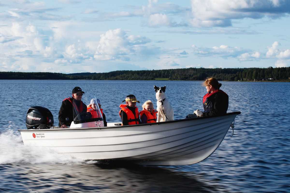 Sandström Basic 465 S