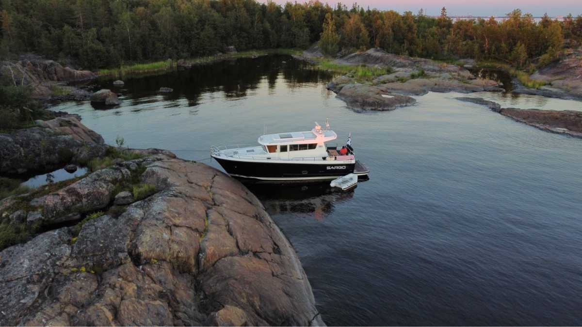 Sargo 36
