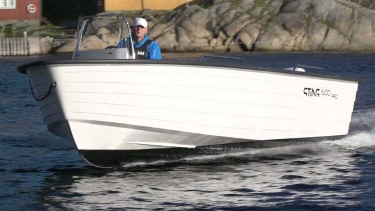 Sting 600 Pro