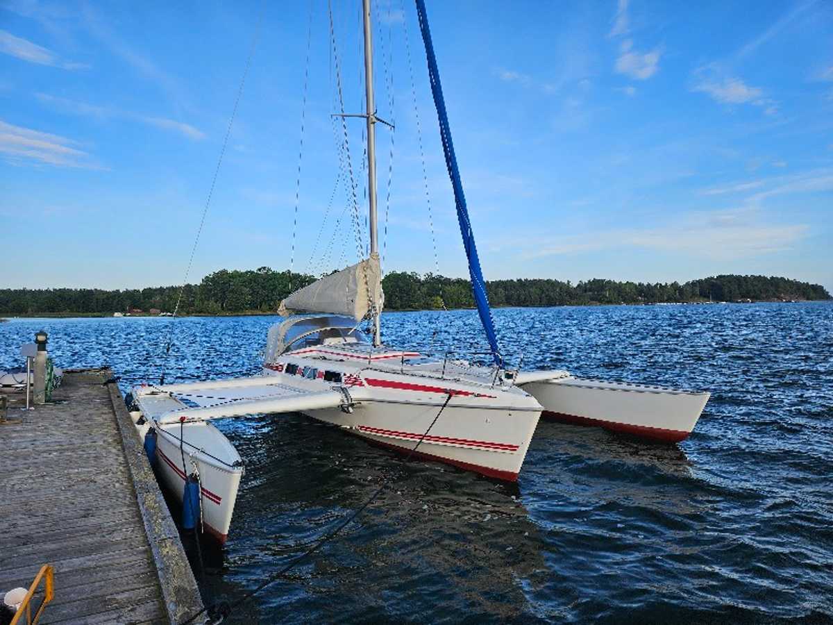 Dragonfly 1000