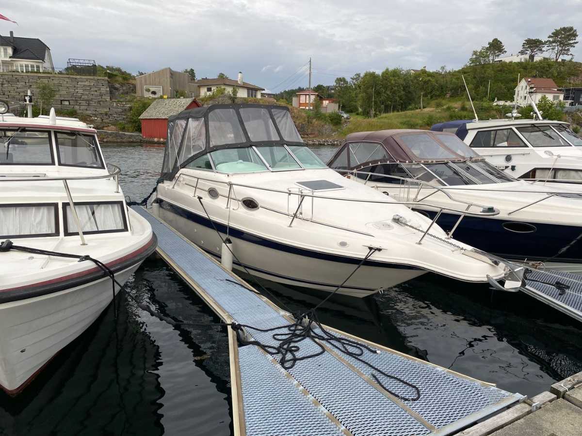 Sea Ray 250