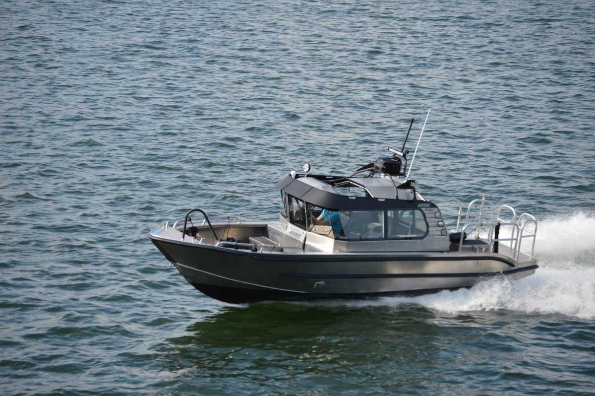 Arronet 25 Surprise I