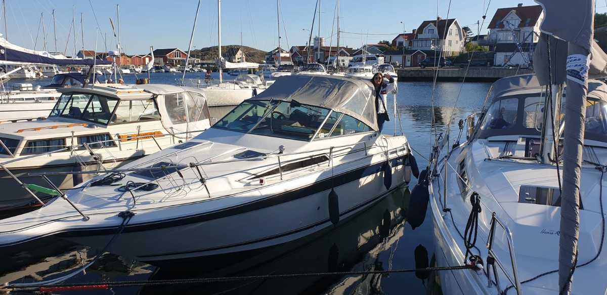 Sea Ray 250 Sundancer