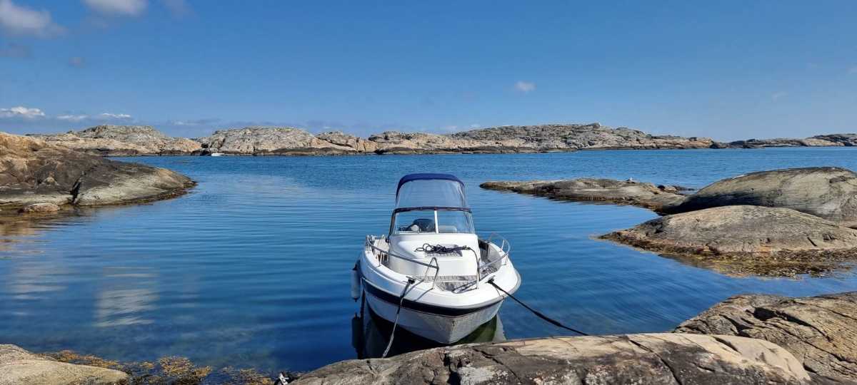 Askeladden 635 Walkaround