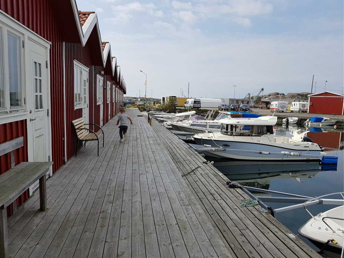 Quicksilver 755 Pilothouse