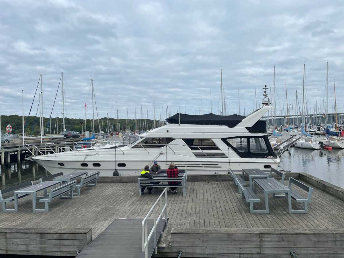 Princess 55