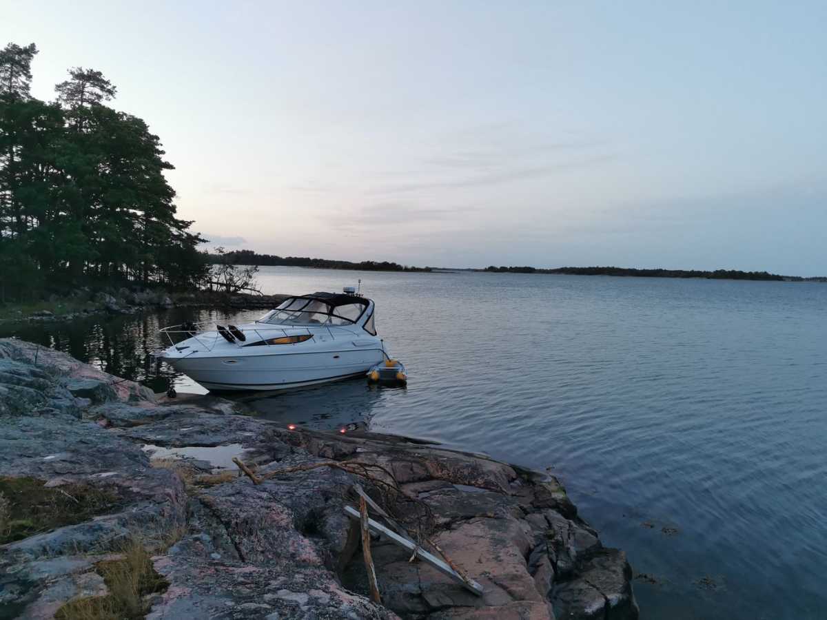 Bayliner 3055 Avanti Sunbridge