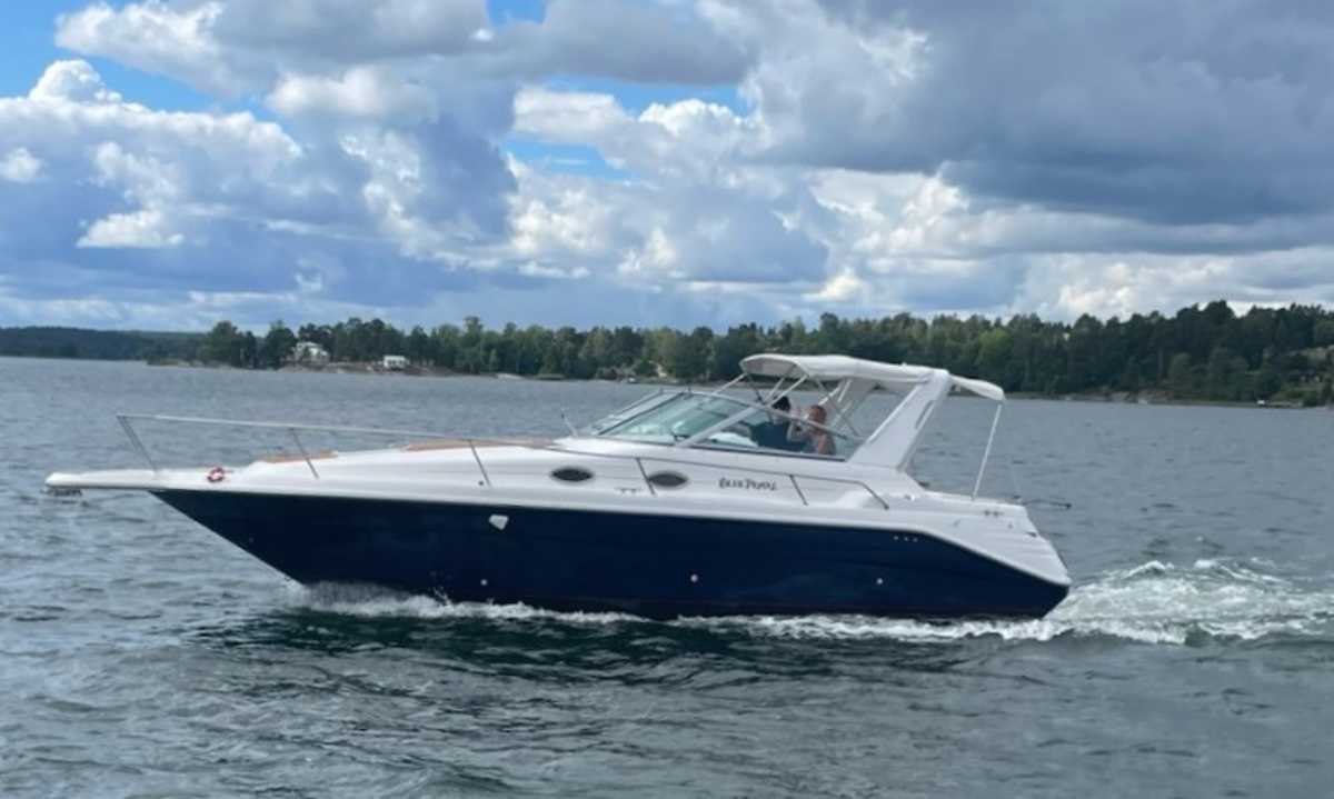 Sea Ray 290 Sundancer