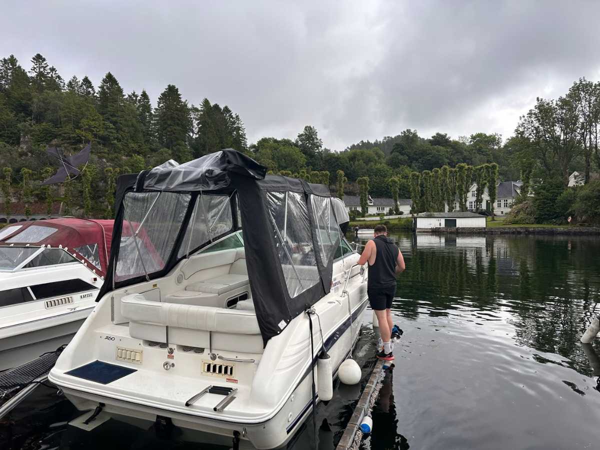 Sea Ray 250