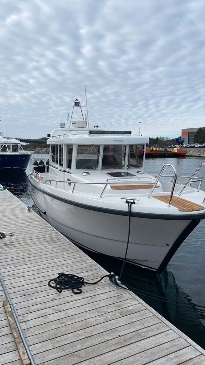 Sargo 31