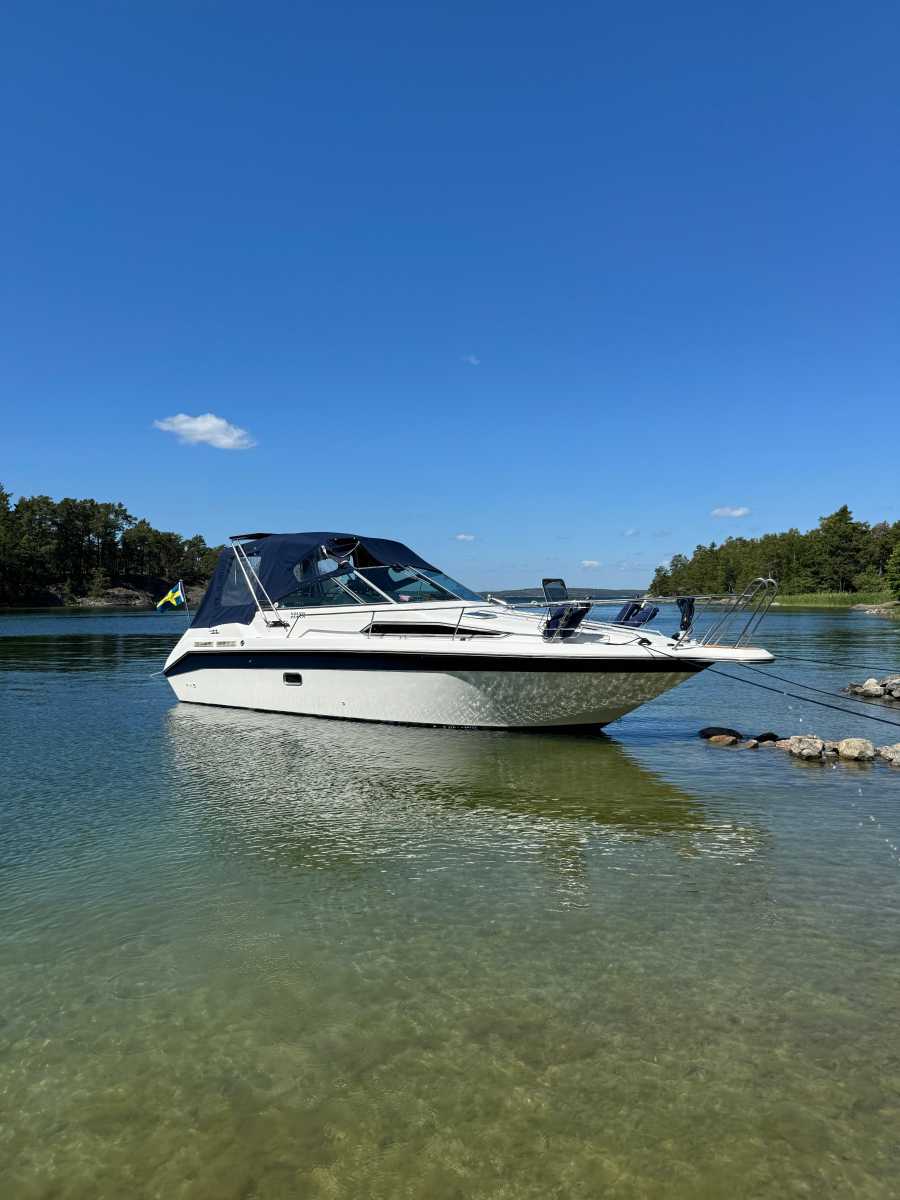 Sea Ray 250