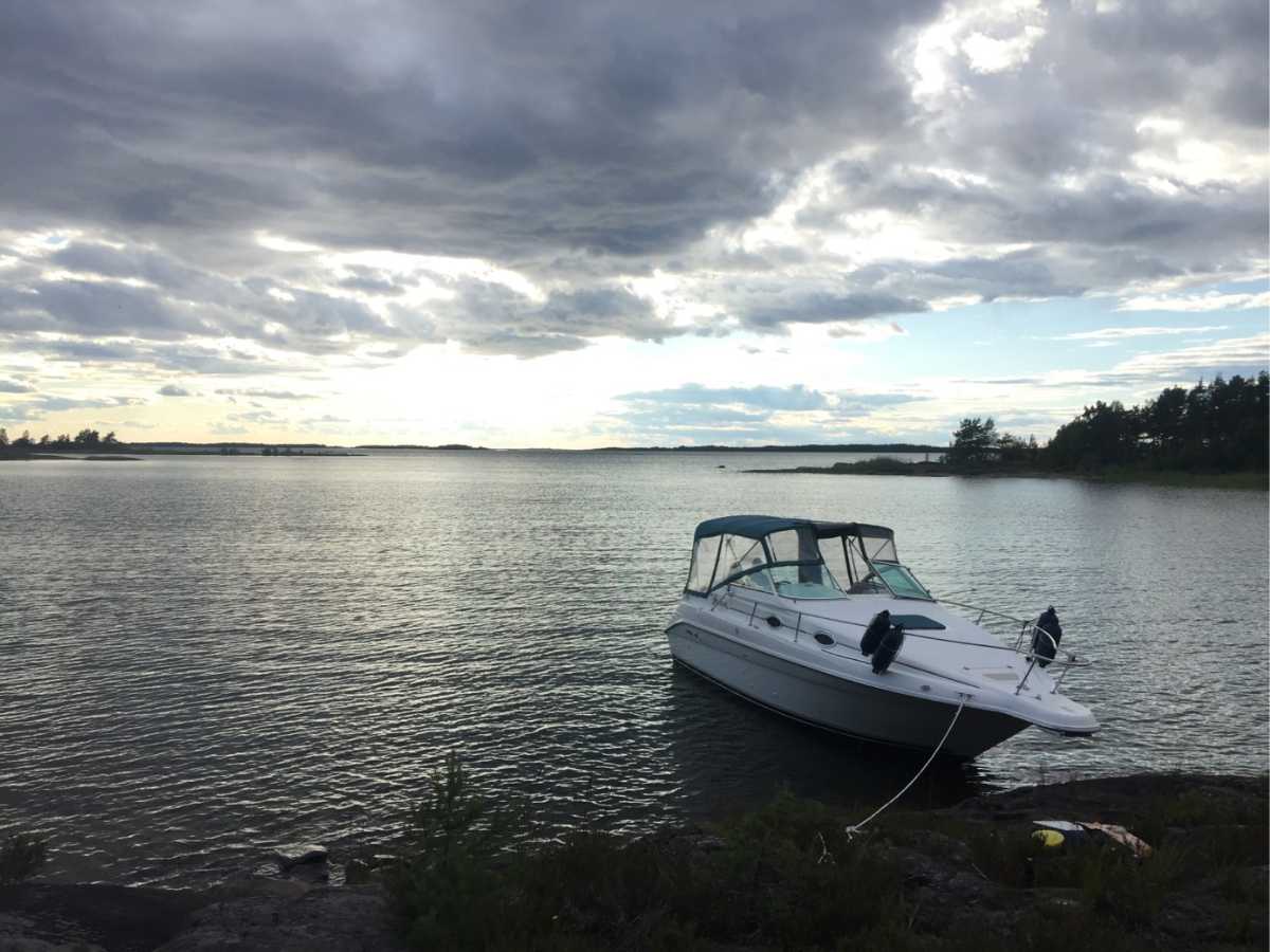 Sea Ray 250 Sundancer
