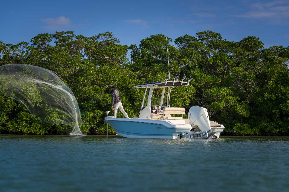 Boston Whaler 220 Dauntless