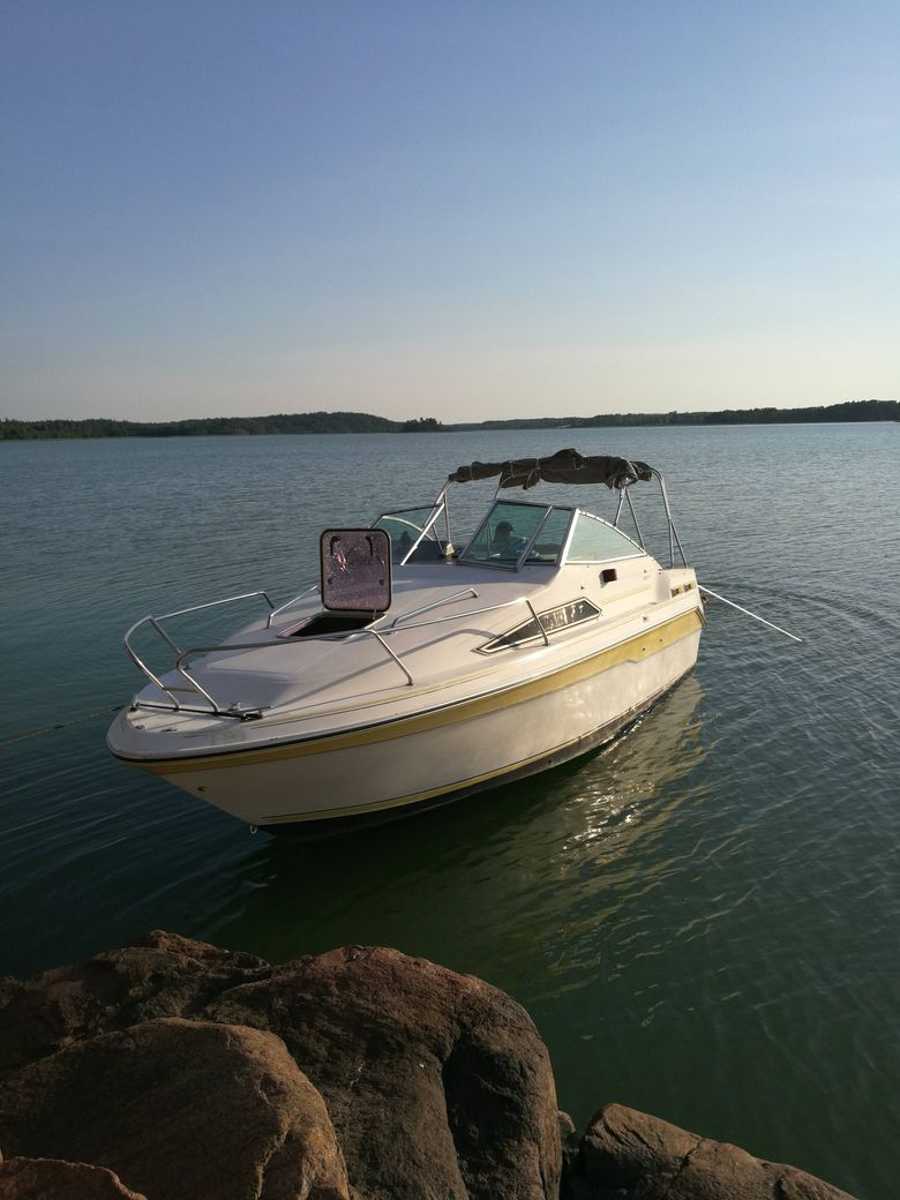Sea Ray 220