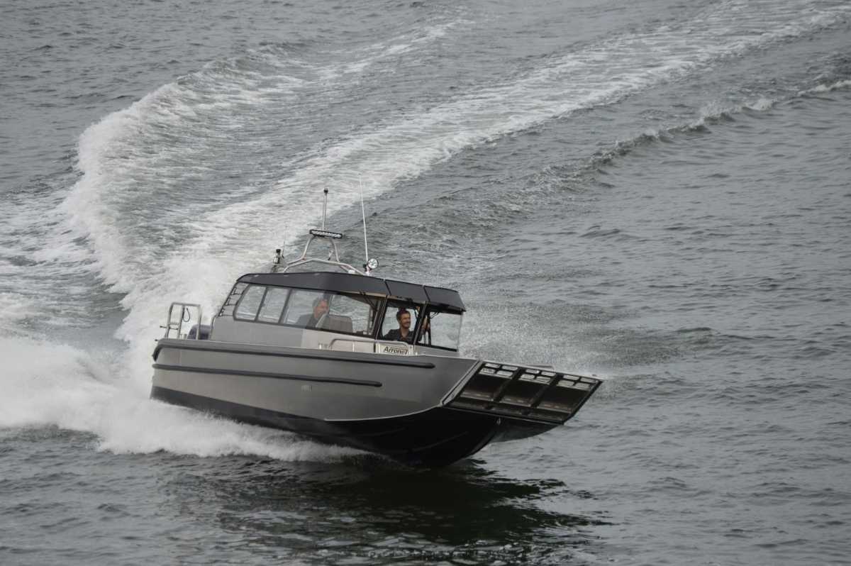 Arronet 30 Surprise Work