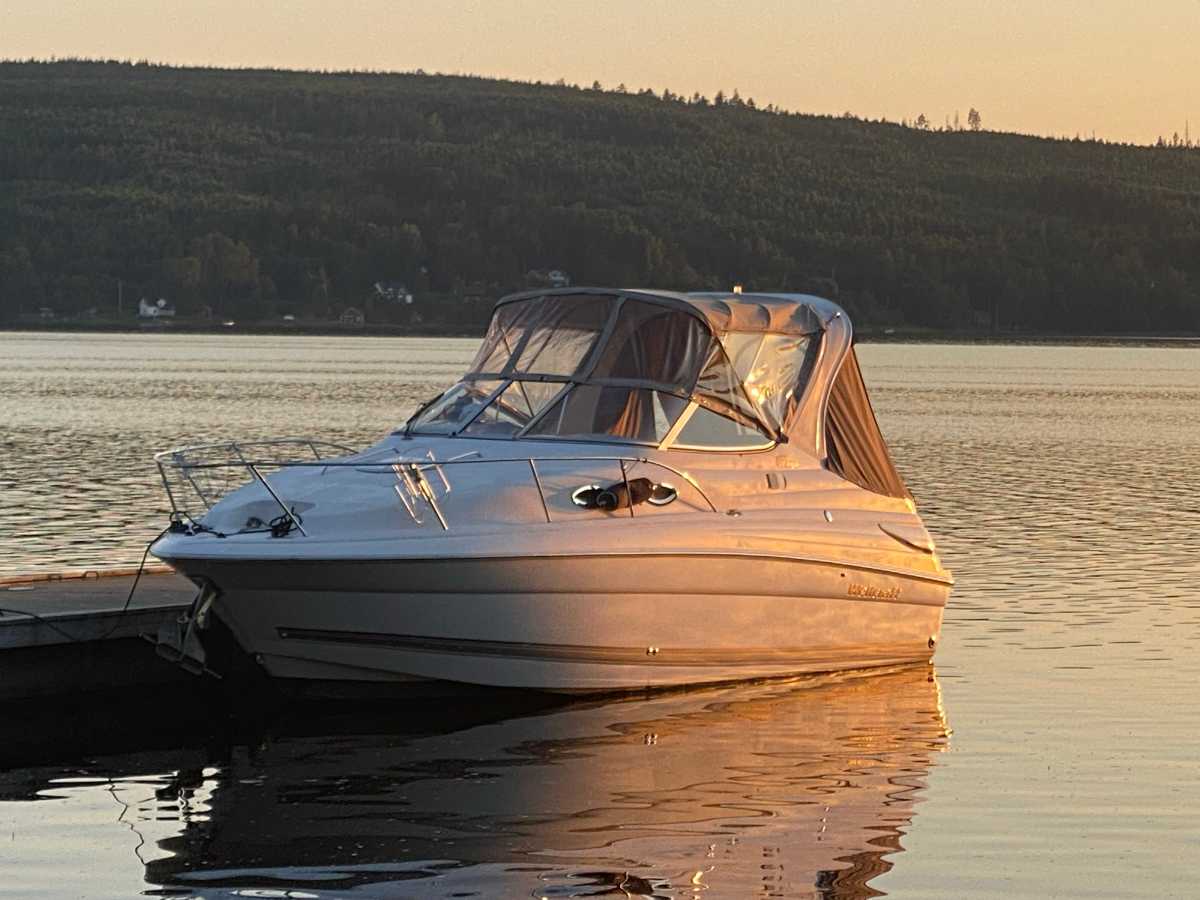 Wellcraft 2600 Martinique