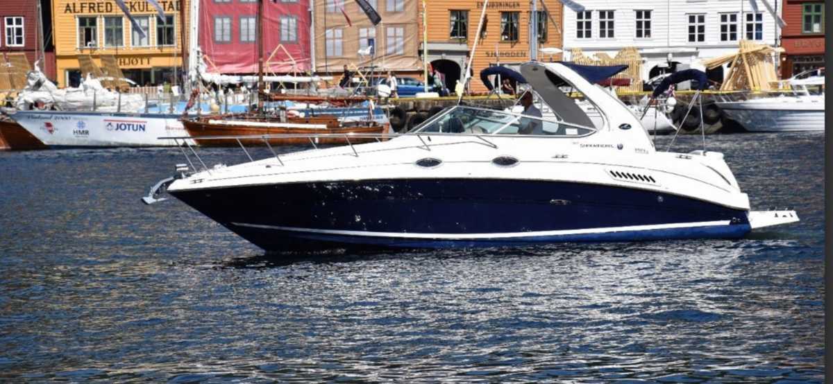 Sea Ray 315 Sundancer
