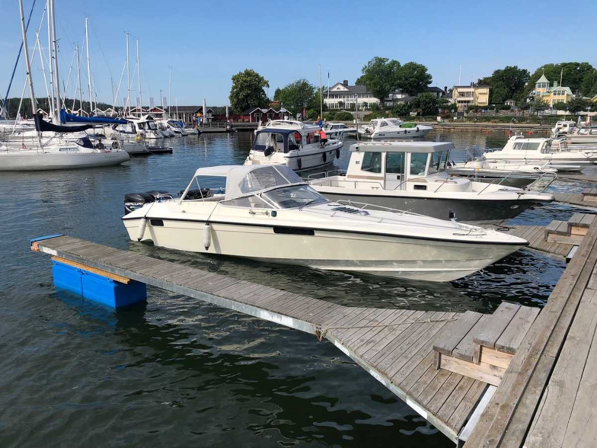 Flipper Flying Flipper