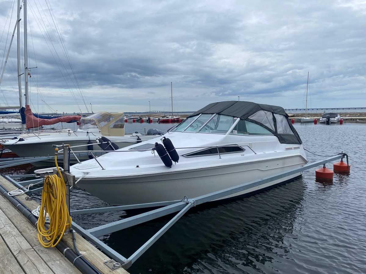 Sea Ray 220