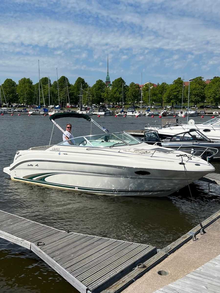 Sea Ray 245 Weekender