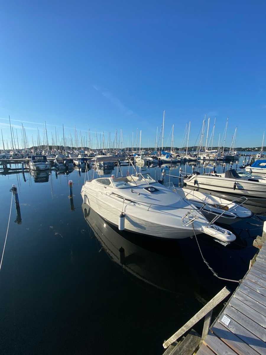 Wellcraft Excel 23 Se