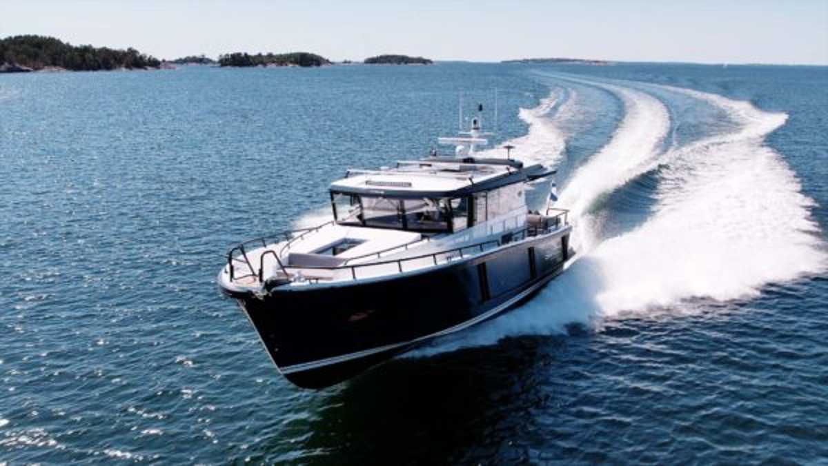 Sargo 45