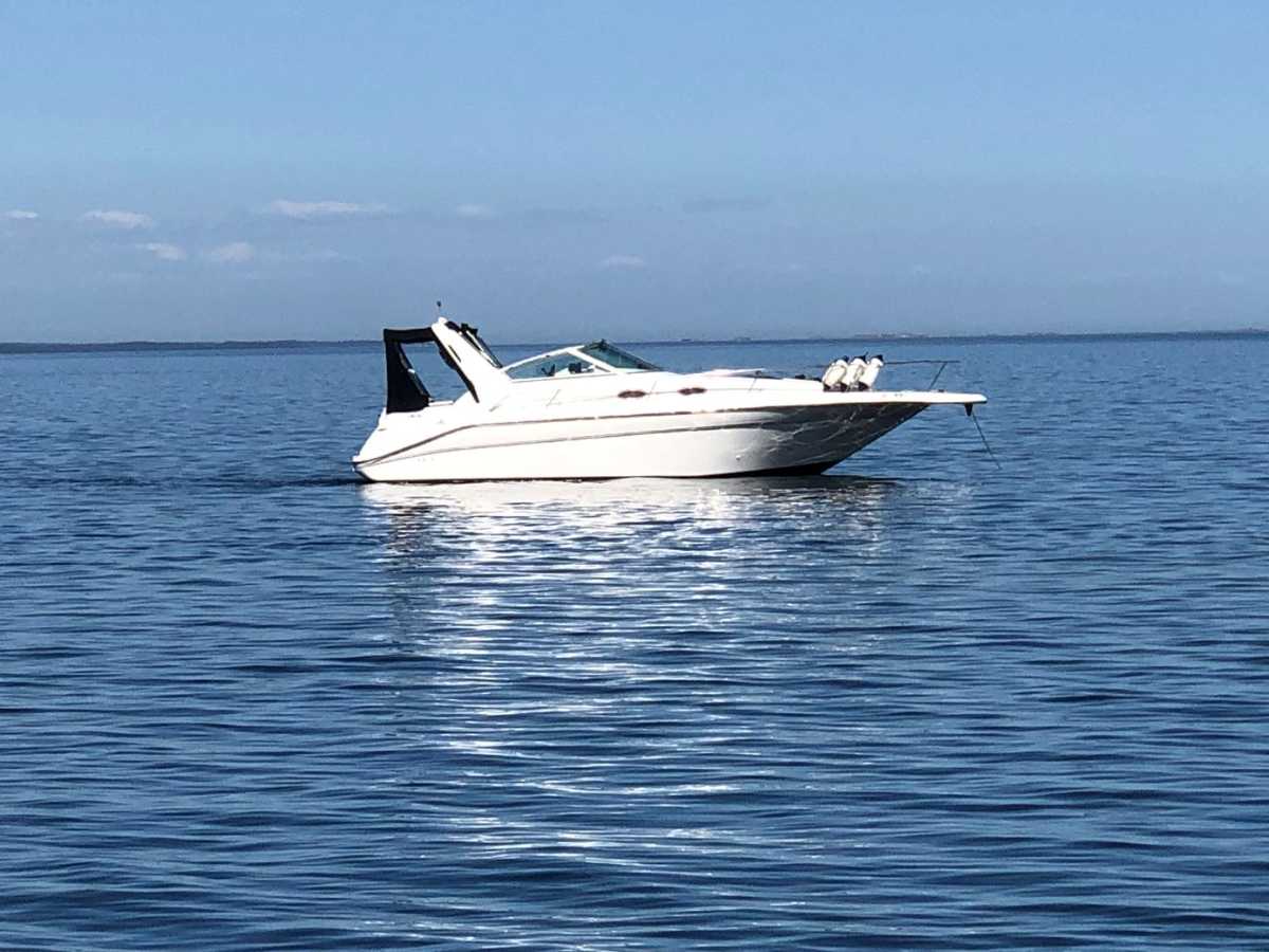 Sea Ray 290 Sundancer