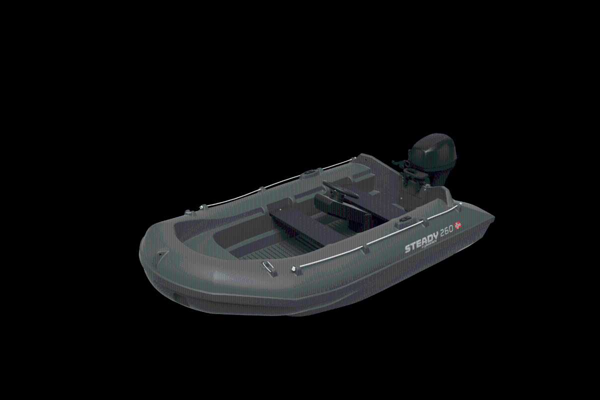 Pioner 260 Steady